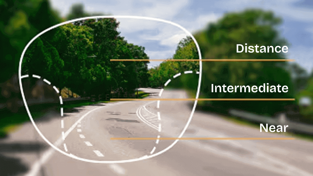 Choosing the Right Reading Lenses: Single Vision, Bifocal, and Progressive