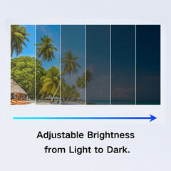 Juno：Adjustable Polarized Sunglasses with UV Protection & 9-Level Light Control