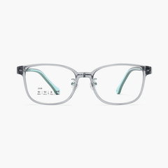 Alden Study Glasses